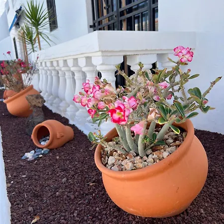 Apartment Vlasta Port Royal Los Cristianos Los Cristianos  Extérieur photo